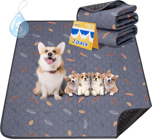 Pack extra large - 2-pack, reusable