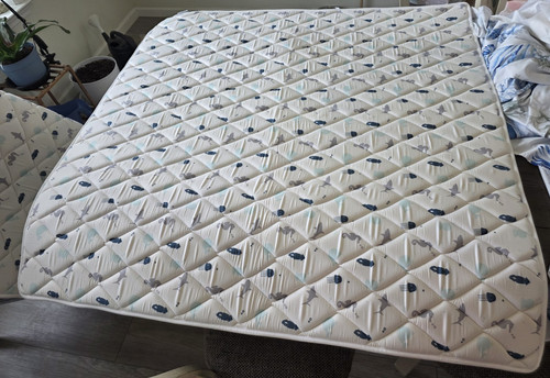 Foam springspirit 50 - foam, 50"