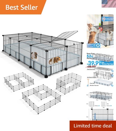 Guinea pig cages with - pig,